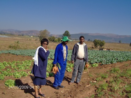 HPIM0223.JPG